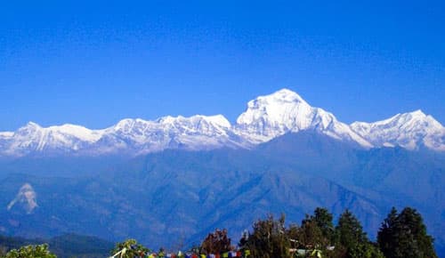 Ghorepani Poon Hill Trek 5 Days 